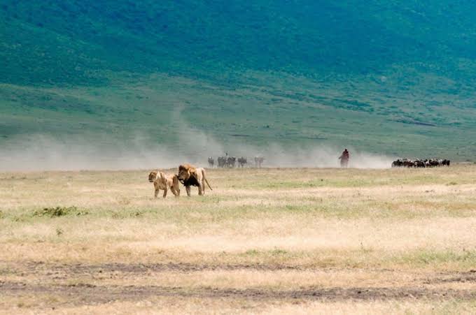 Ngorongoro Conservation Area